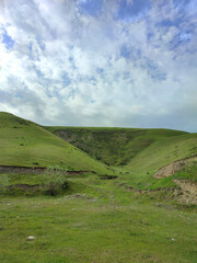 Green grassy hills with downhill slope. Landscape. Mountain pasture