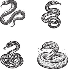 Obraz premium Hand-Drawn Snake Illustrations Set