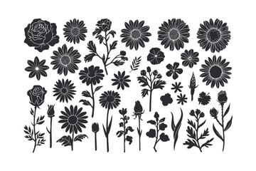 Black and white flowers set