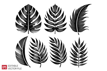 tropical leaf graphic illustration design templates