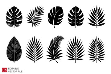 tropical leaf graphic illustration design templates