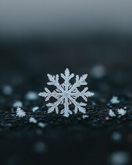 Macro Snowflake on Dark Background