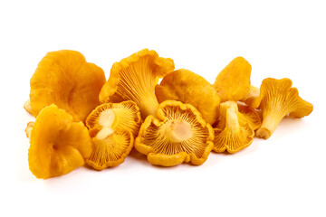 Raw fresh chanterelles mushrooms, isolated on white background.