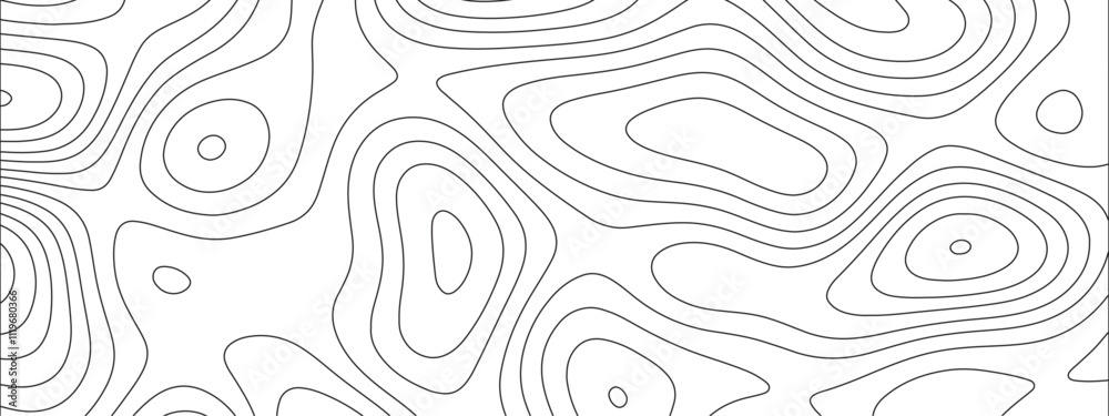 Leinwandbilder abstract luxury white modern 3d papercut background. topography line circle creative topography map 