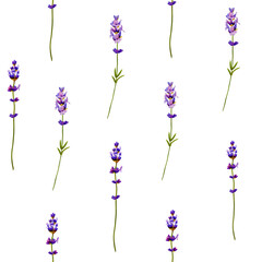 Fototapeta premium lavender seamless pattern of flowers, hand painted with watercolor, seamless pattern for provence style, wedding invitations