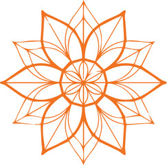 Beautiful flower art and mandala vector design