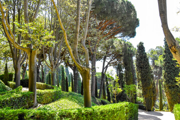 Obraz premium Spain. Lloret de Mar. Gardens of Saint Clotilde. Landscape design 