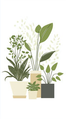 Fototapeta premium Group of lush potted plants in a modern design.
