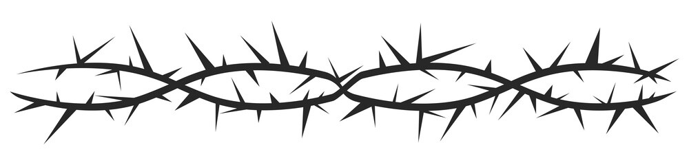 Thorn stem vine plant with spikes simple border y2k creepy branch. Barbed wire tattoo. Boundary frame.  © Alyona