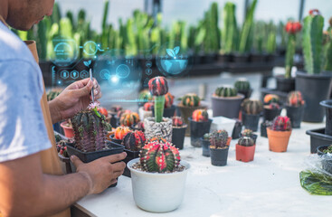 A gardener carefully tending colorful potted cacti using advanced technology in a greenhouse environment, highlighting sustainability and innovation.