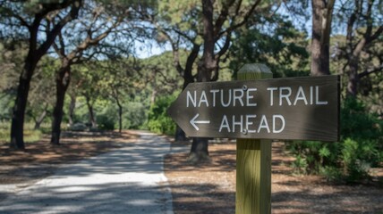 Wooden sign with phrase ''Nature Trail Ahead'', forest trail in the background.