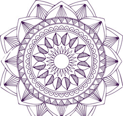 Beautiful flower art and mandala vector design