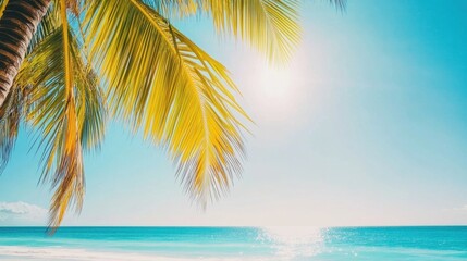 Fototapeta premium Bright Tropical Beach Scene with Palm Tree and Clear Blue Sky