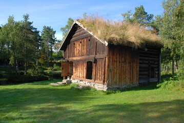 Obraz premium wooden house in the forest