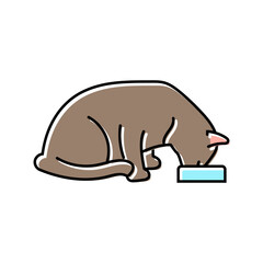 food bowl cat breeding color icon vector. food bowl cat breeding sign. isolated symbol illustration