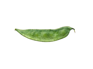 Fresh Natural Green Bean Isolated on White Background