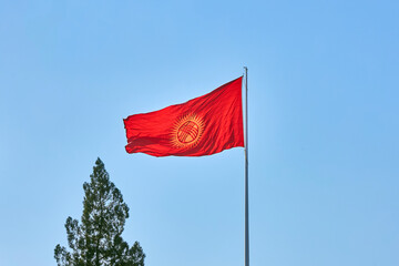 Kyrgyzstan updated flag flutters against the clear blue sky. Waving red new flag Kyrgyz Republic on flagpole, near the top of a coniferous tree. Kirghizia
