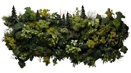 A detailed top-down perspective of a vibrant green landscape with dense tree cover, isolated on transparent background.