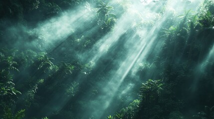 Obraz premium Sunbeams pierce misty jungle canopy.