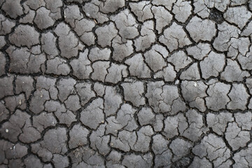 Cracked dry earth texture close-up, showcasing the natural pattern of drought and soil erosion with intricate details and contrasting dark fissures.