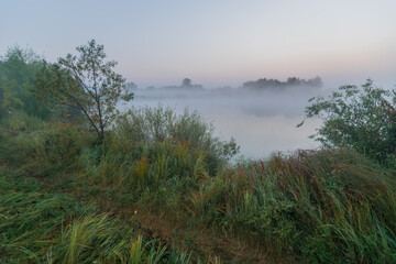 Obraz premium fog on the river