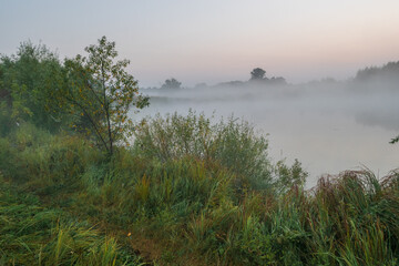 morning on the river