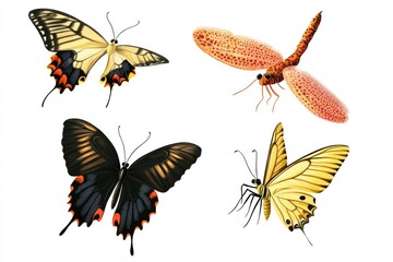 Naklejka premium A close-up view of four colorful butterflies perched on a white background
