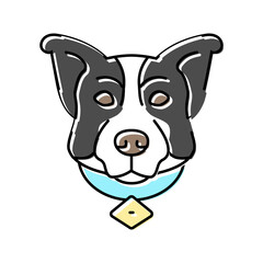 vaccination dog color icon vector. vaccination dog sign. isolated symbol illustration