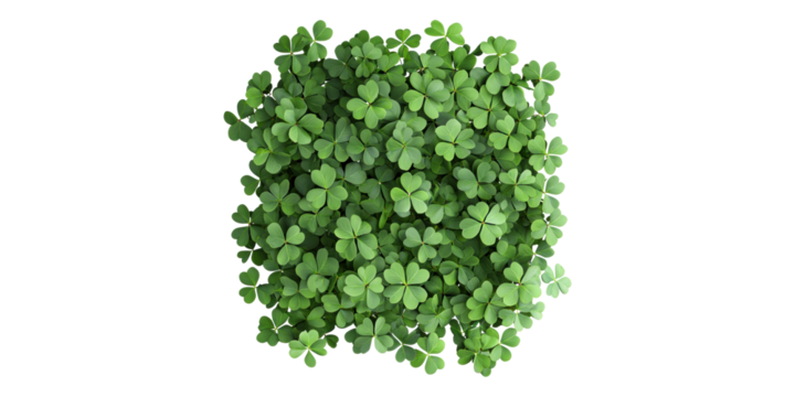 Green clover leaves pattern isolated on transparent background