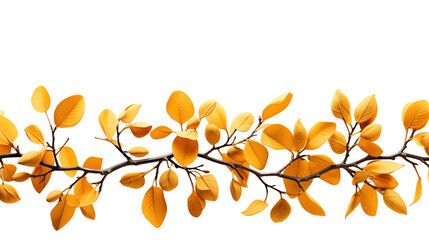 A delicate tree branch displays vibrant yellow leaves, highlighting the beauty of autumn, isolated on transparent background.