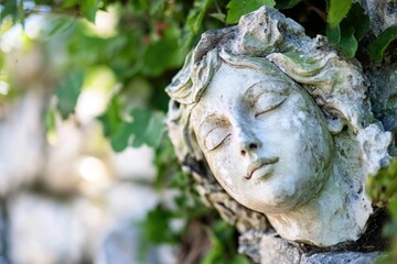 Obraz premium A statue of a woman's face carved into the trunk of a tree, surrounded by foliage and natural beauty