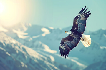 Naklejka premium A bald eagle soaring high above a mountain range, its wings outstretched and its white head gleaming against the clear blue sky.