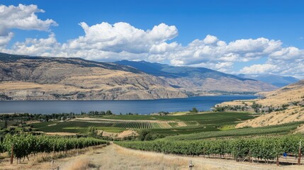 Fototapeta premium Breathtaking vineyard scenery with mountains and lake in a picturesque wine region showcasing lush grape fields and stunning natural beauty