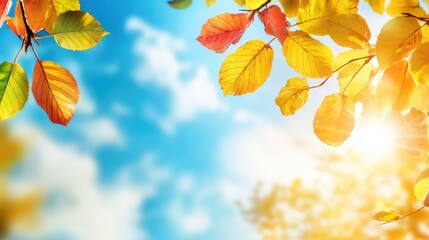 Vibrant autumn leaves against a bright blue sky and sunlight creating a warm seasonal backdrop for nature-themed designs