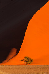 One of the oldest sand dune (Sund dune 44) show vivid color contrast and curve at sunset