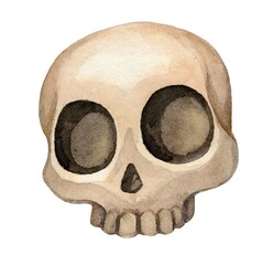 Hand-painted watercolor illustration of a stylized human skull in earthy tones. Artistic and detailed, ideal for Halloween designs, anatomy concepts, or creative patterns.