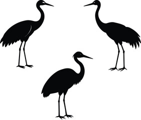 Black Silhouette Of Blue Crane