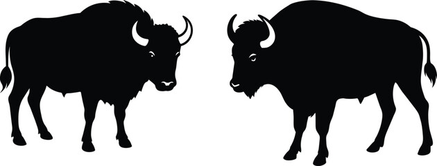 Black Silhouette Of American Bison