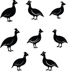 Black Silhouette Of Chukar Bird Vector.