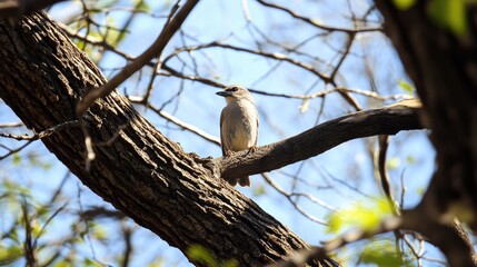 Carolina chickadee perched on a textured tree limb amidst winter scenery and clear ice in natural sunlight