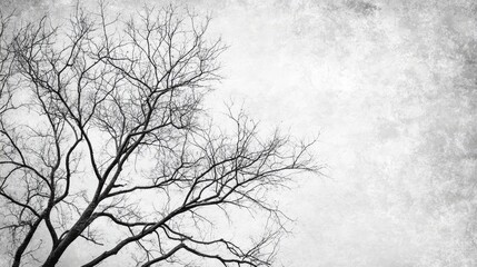 Obraz premium Bare tree branches silhouetted against a textured gray sky background creating a moody atmospheric effect for design purposes.