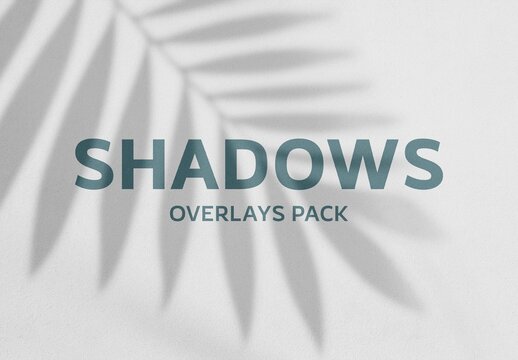 Leaves Shadows Overlay Pack With Generative AI