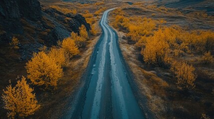 Naklejka premium Aerial view of winding road surrounded by vibrant yellow maple leaves during autumn season in Icelandic nature landscape