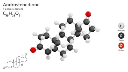 Molecule: Androstenedione. Steroid hormone.Molecular structure. Formula: C19H26O2. Chemical model: Ball and sticks. White background. 3D illustration.