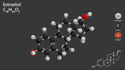 Molecule: Estradiol or Oestradiol. Estrogen steroid hormone. Molecular structure. Formula: C18H24O2. Chemical model: Ball and stick. Gray background. 3D illustration.