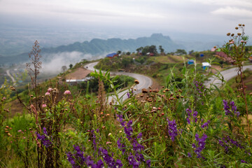 The road to Phu Tub Berk  leading up the mountain is in good atmosphere. This road  is also one of the highlights that we must drive carefully. It is in Phetchabun province, Thailand.
