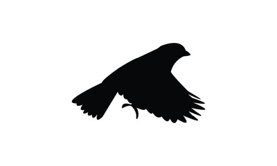 Flying Sparrow Bird Silhouette Design  And Vector Illustration. 