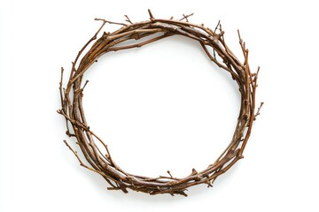 Rustic Circular Frame Design with Twigs and Branches