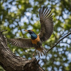 A bird with wings spread wide as it lands on a tree branch.