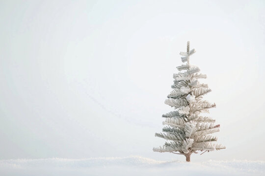 Christmas Home Decor: White Tree and Winter Pine Cone Arrangement&ndash; Ideal for Holiday Promotions